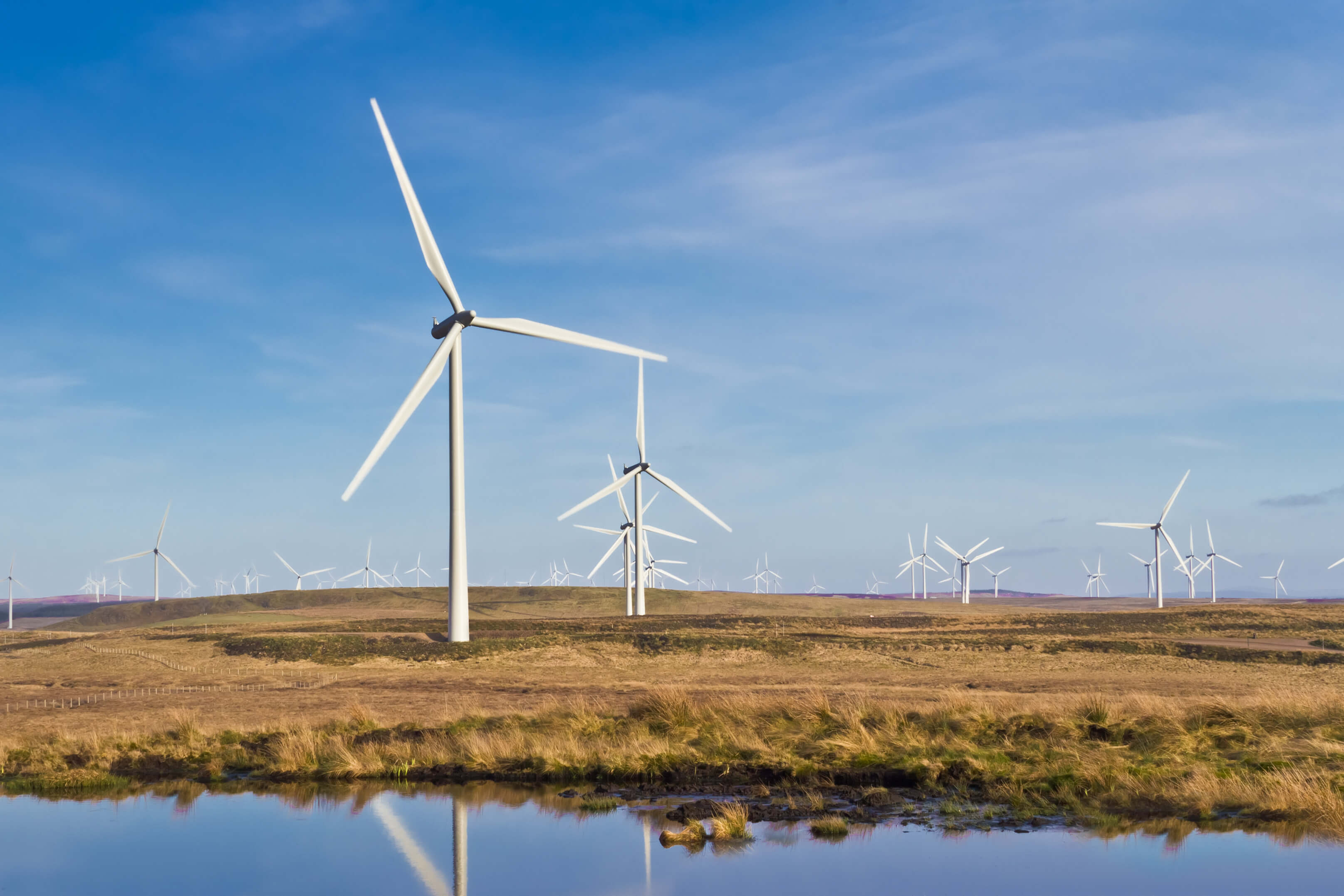 Wind turbines in a field with a blue sky